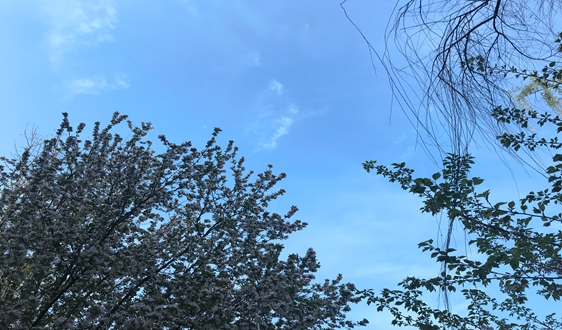 2020年藍天成績單還得看今夏這一戰